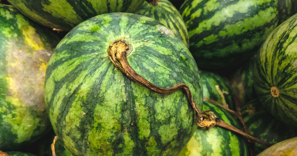 10 Steps To Choose A Watermelon Benefits Of Stretching